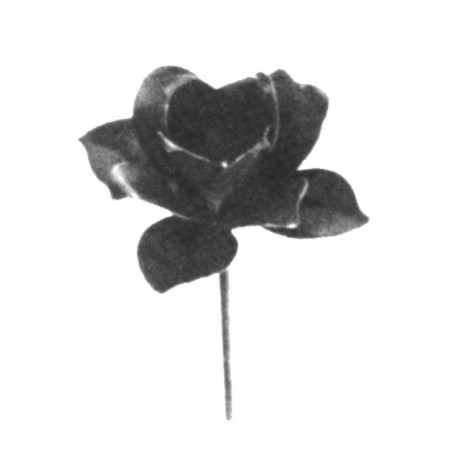 Adorno de Hierro Forjado - Flor de Forja ➖0.5mm Ref.07312